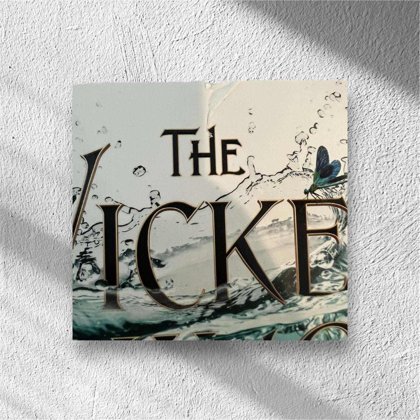 The Wicked King